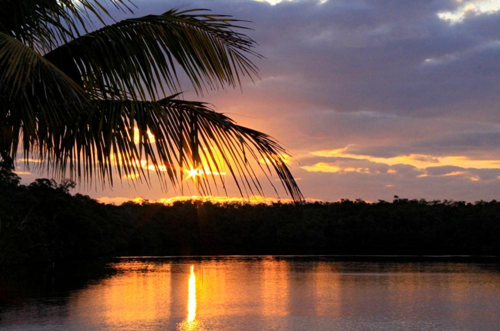 River Wilderness Waterfront Cabins Everglades Exterior foto